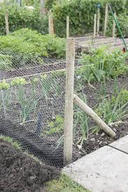Wire Mesh Rabbit Proof Fence