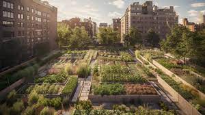 Rooftop Farming Images Browse 15 637