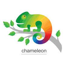Logo Chameleon Branch Colorful Icon