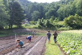 Ina Farm Stewardship Association