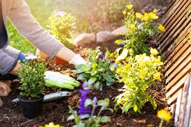 A Guide To Sustainable Gardening Eco