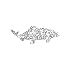 Line Drawing Of Salmon Healthy Fish