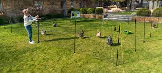 En Fencing Poultry Netting For