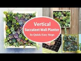 Vertical Succulent Wall Planter In