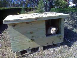 Cool Dog Houses Insulated Dog House