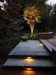 25 Best Landscape Lighting Ideas And