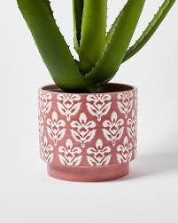 Best Indoor Plant Pots For Houseplants