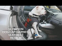 Slowton Dog Harness Car Seat Belt Set