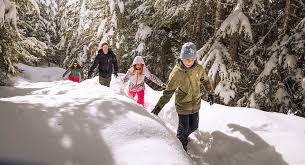 Family Day In Whistler Tourism Whistler