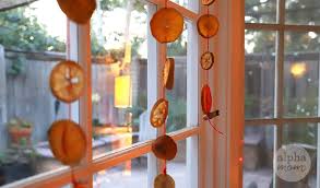 Citrus Suncatchers For The Holidays Or