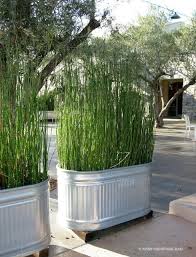 Tall Grass In Galvanized Tubs Create