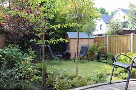 Increasing Privacy In Your Garden With