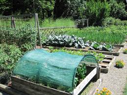 How To Build A Raised Garden Bed Step