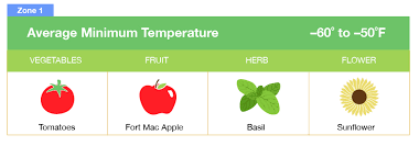 Find Your Plant Hardiness Growing Zone