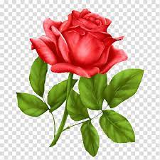 Flowers Rose Icon Design Smiley Css