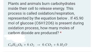 Plants And Animals Burn Carbohydrates