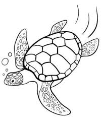 Sea Turtle Baby Shower Celebrates Wild