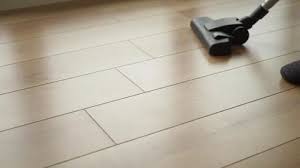 Floor Cleaner Stock Footage