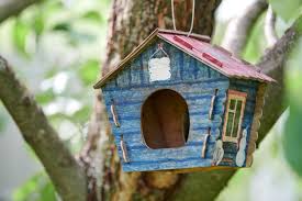 Birdhouse On Tree Branch Of Apple Tree