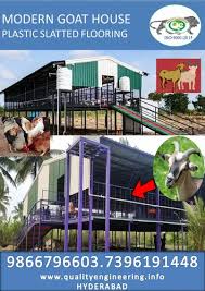 Modern Goat Farm At Rs 500 Square Feet