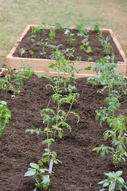 How To Build A Raised Garden Bed