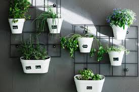 Hanging Plant Icon Images Browse 70