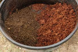 Prepare Soil For Gardening In Container