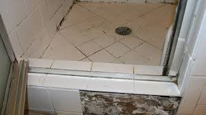 Be Aware Of Black Mold In Shower To
