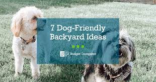 How To Make A Dog Friendly Backyard