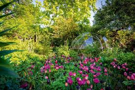 Best Greenhouses In Britain