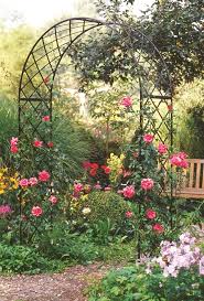 A Rose Arch For Dramatic And Splendid