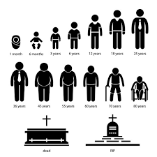 Man Human Aging Age Growing Up Process