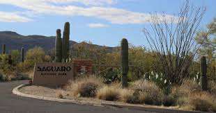 Saguaro National Park Epic Guide 2023