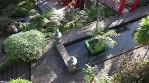 4k Tropical Zen Garden Madeira Aerial