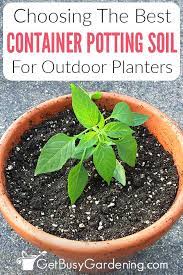 Best Potting Mix For Container Gardening