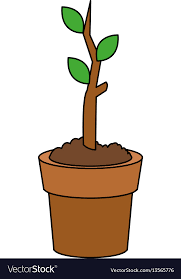 Plant Sprout In Pot Icon Image Royalty