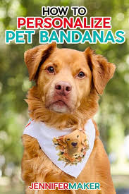 Diy Personalized Pet Bandanas