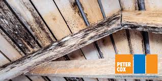 Looking After Wooden Beams Blog All