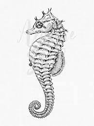 Clipart Lined Seahorse Vintage Fish