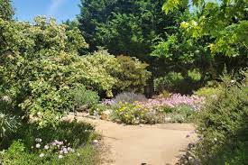 10 Botanical Gardens In Orange County