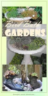 Make It Into A Bird Bath Garden