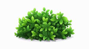 Isometric Green Bush Icon With Small