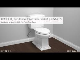 Toilet Tank And Tank Gasket Gp51487