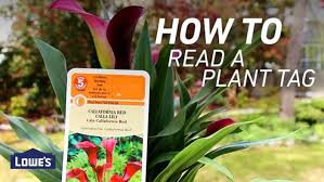 Plant Tag For Planting Instructions
