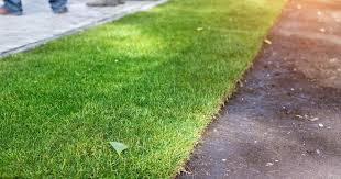 Achieve Immaculate Lawn Edges With