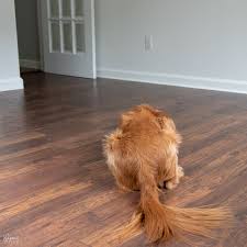 Craft Room Painting And Laminate Floor