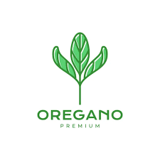 Oregano Leaves Flavor Food Cooking