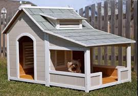 10 Simple But Beautiful Diy Dog House