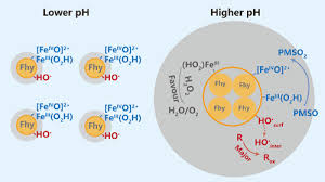 Ph Dependence Of Hydroxyl Radical