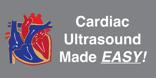 Cardiac Ultrasound Echocardiography